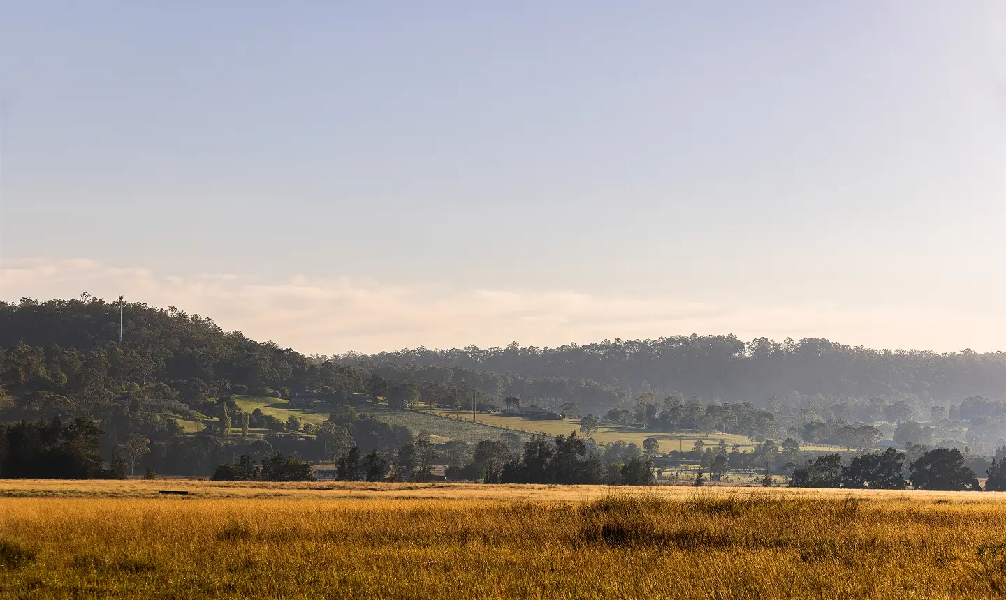 Lovedale Farm